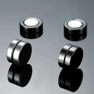 Simplicity Round Earrings with Magnet